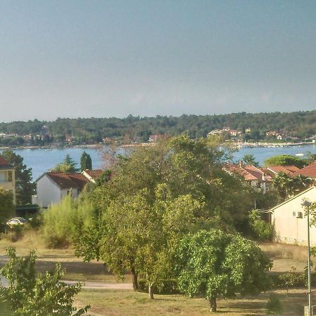 Delfin Apartment Novigrad Istria Exterior foto