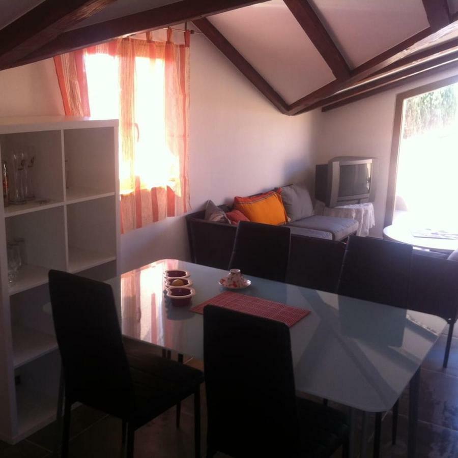 Delfin Apartment Novigrad Istria Exterior foto