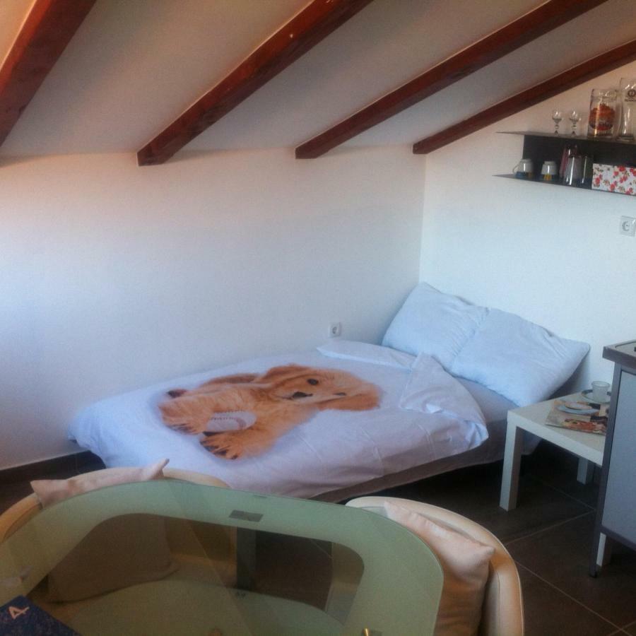 Delfin Apartment Novigrad Istria Exterior foto