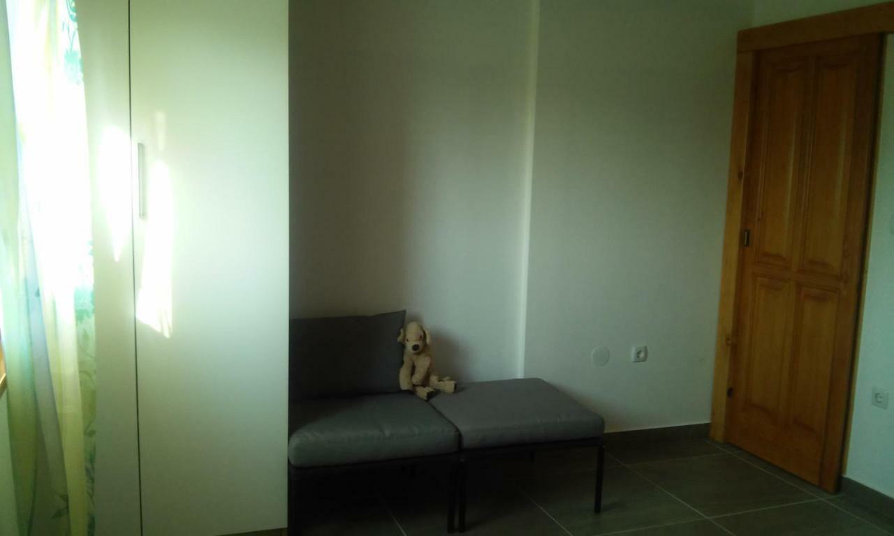Delfin Apartment Novigrad Istria Exterior foto