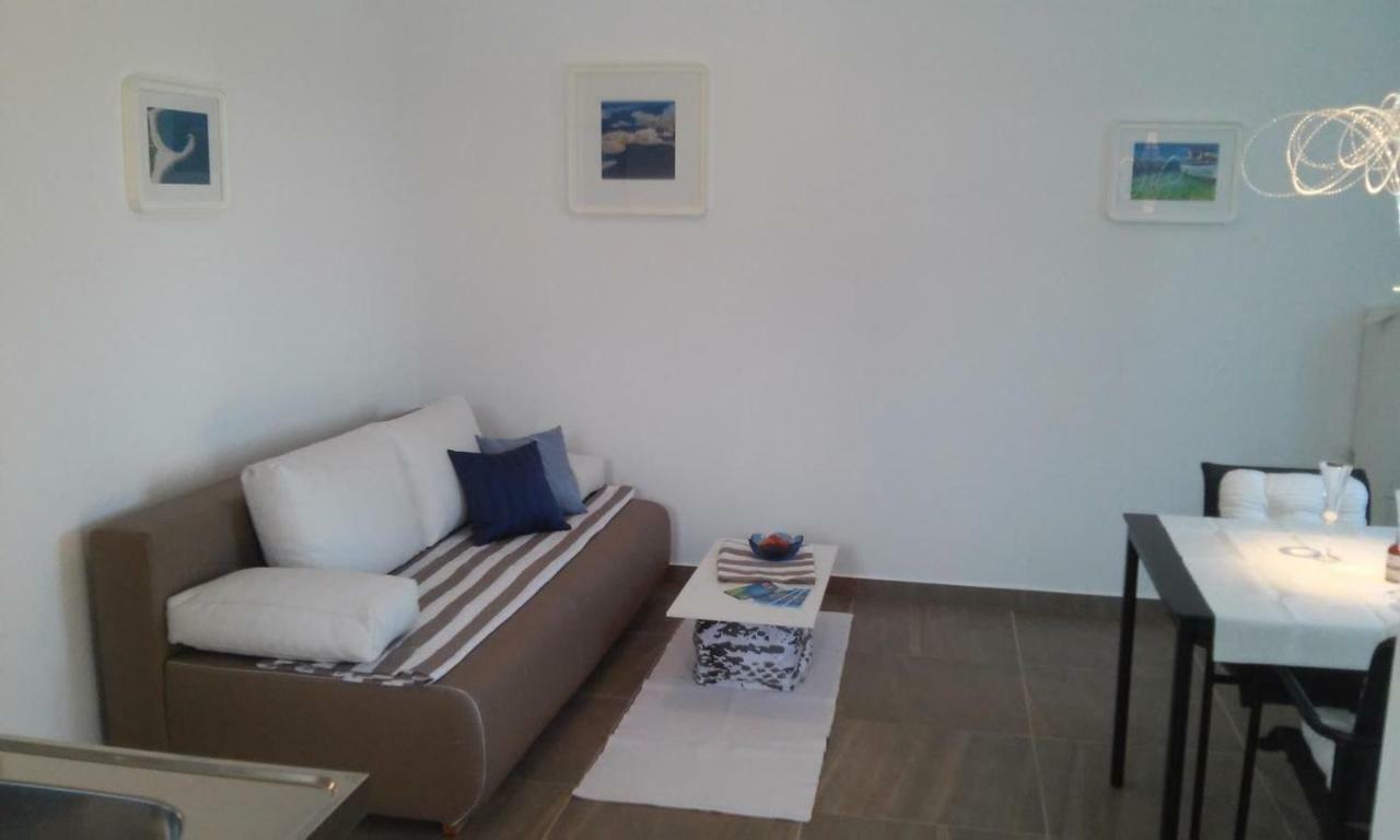Delfin Apartment Novigrad Istria Exterior foto