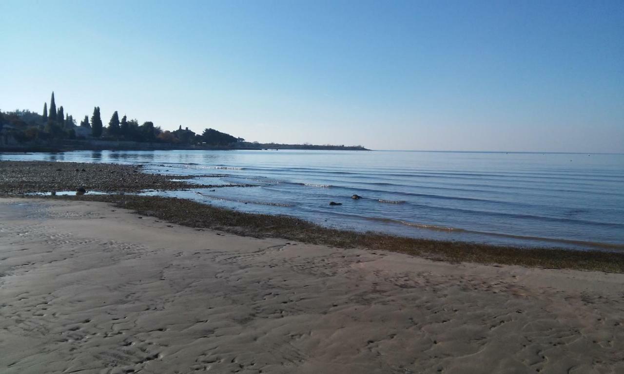 Delfin Apartment Novigrad Istria Exterior foto