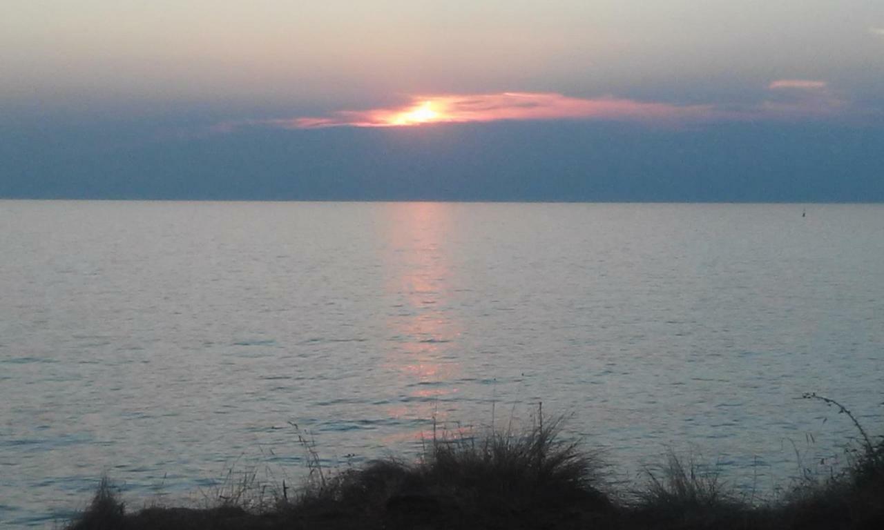 Delfin Apartment Novigrad Istria Exterior foto