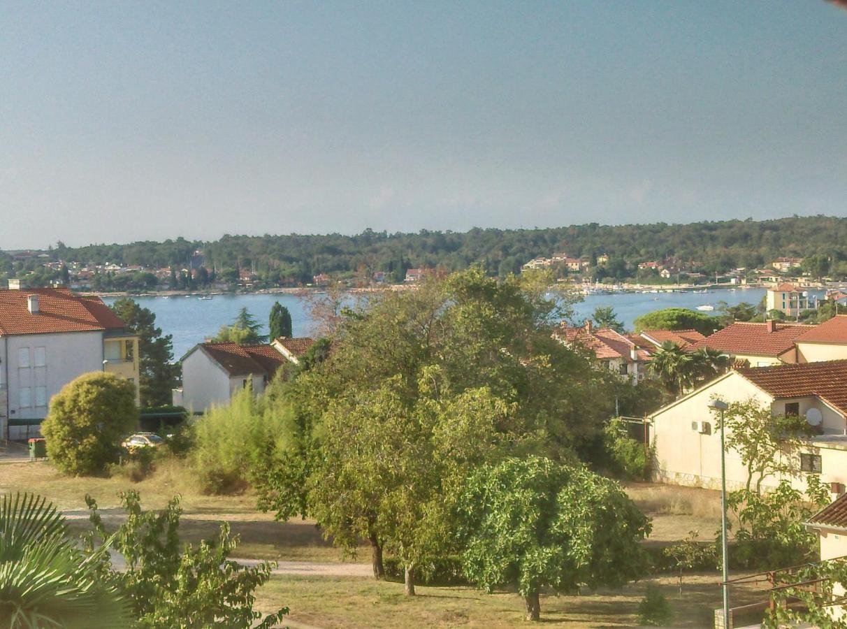 Delfin Apartment Novigrad Istria Exterior foto